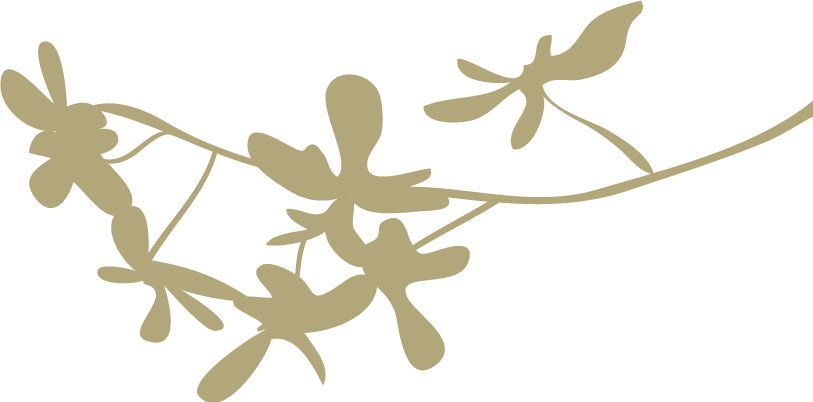 ��������¡�һ����˭�����棡