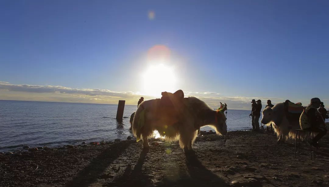 黑马河 黑马河位于西宁以西约220公里处的青海湖边上,是青海湖环湖