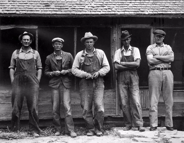 1884年美国经济_1884 1980 -条目打印详细信息