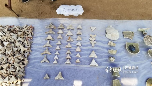 泰安发掘一古窑址,为山东近30年发现最大隋代男秋装打底图片