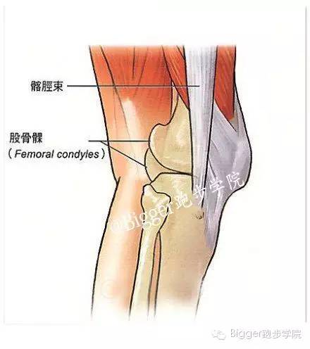 膝盖内侧疼不一定是半月板受伤!膝关节常见跑