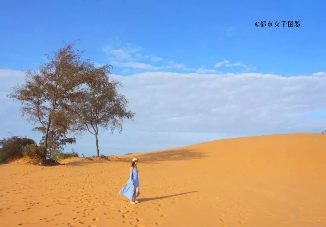 买特价机票、住平价别墅、找人拼饭…我一个人