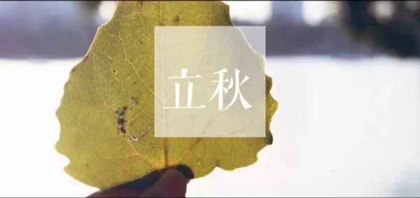 今日立秋 l 夏天还没怎么过,秋天就来了…