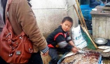 今日鲜闻 | 华为否认退出美国、网红杀鱼弟自