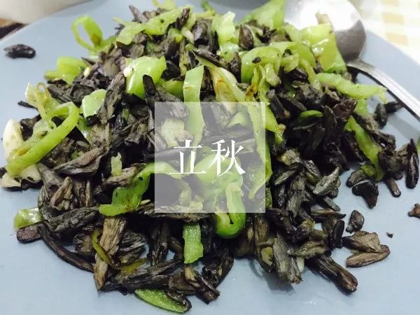 今日立秋 l 夏天还没怎么过,秋天就来了…