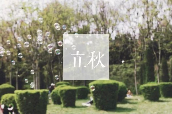 今日立秋 l 夏天还没怎么过,秋天就来了…