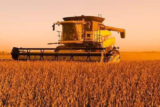 中国取消美国大豆订单,巴西当中间商净赚6.6亿