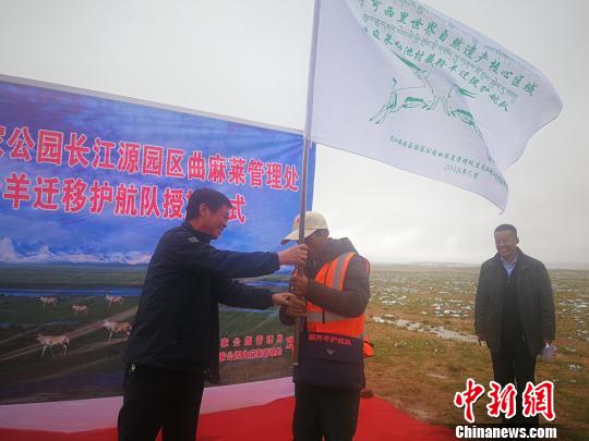 三江源国家公园成立护航队守护藏羚羊往返“大产房”