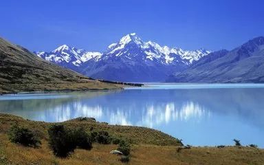 新西兰电子签证引网友热议:信息泄露,新西兰移