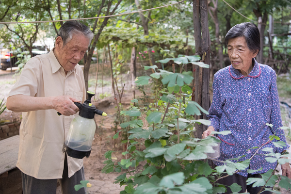 图集｜九旬夫妻从青梅竹马到钻石婚：平安和气，渴望结婚证