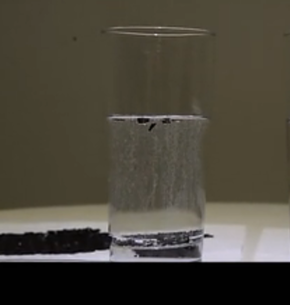 如果净水器过滤的水呈白色粉末怎么办？