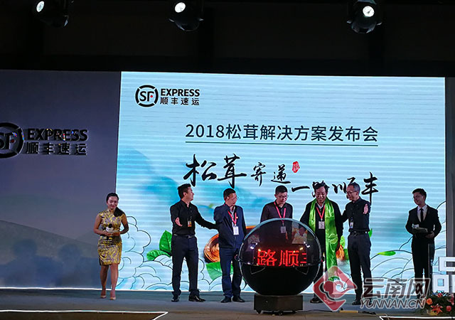 香格里拉松茸即将上市 电商助力松茸新鲜到家（图）