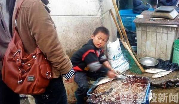 中国青年报:网红杀鱼弟悲剧映射了家庭教育的