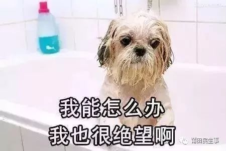 14号台风生成!莆田发布橙色预警,还有这个坏