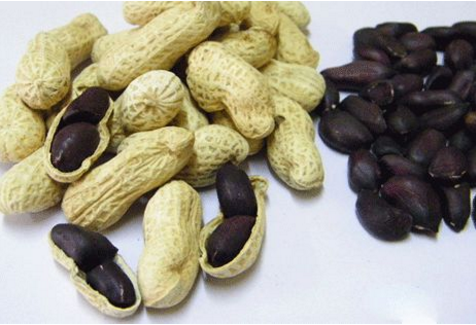 黑花生是转基因?其实是花生中的营养新贵,抗氧