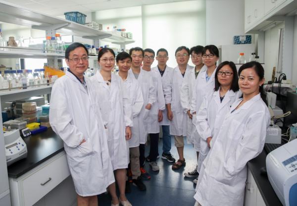打开人造生命的大门！中国科学家人工合成单染色体酵母