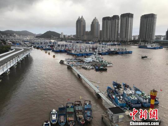 今年第10号台风“安比”登陆前，多艘渔船已停泊于浙江舟山沈家门渔港。　张斌 摄