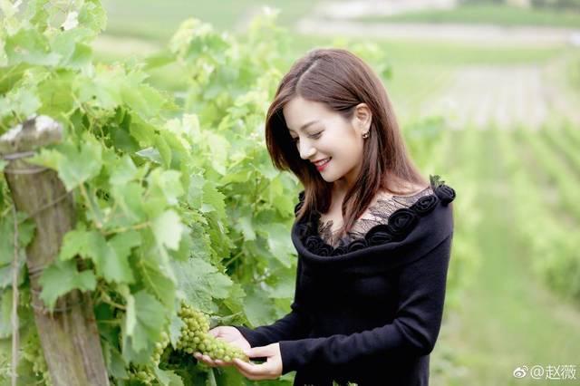 赵薇自曝因瘦身一年未吃冰淇淋,精致的猪猪女