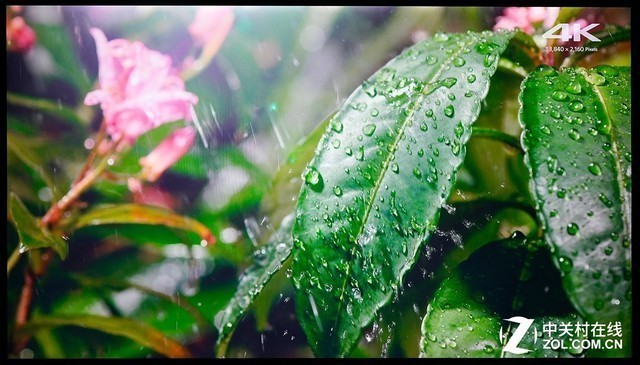 0508228777CB510DA79B02FD4FB7CE723F3D97B7_size77_w640_h365.jpeg