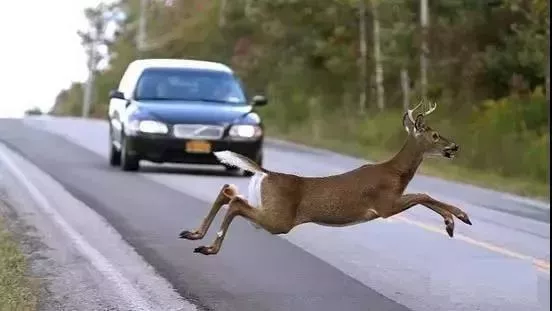 【金征远皇家移民】华人移民加拿大7年后感叹