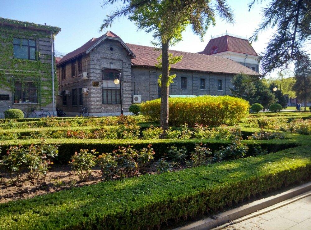 1900年的中国gdp_中国gdp2020年(3)