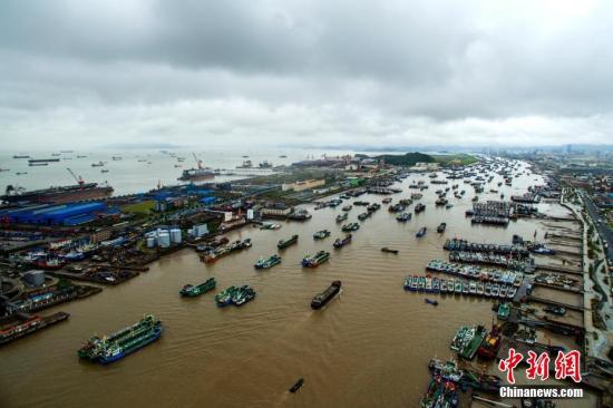 资料图：台风天气在港口避风的渔船。中新社发 姚峰 摄