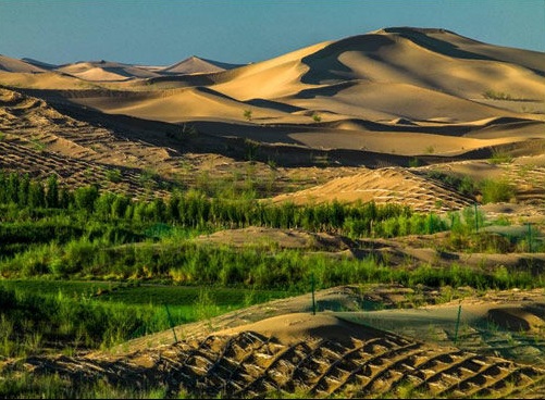 境外媒体关注中国“绿色奇迹”：数十年治沙植树 荒漠变绿洲