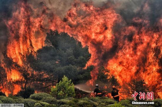 资料图：7月25日消息，据雅典通讯社24日报道，希腊首都雅典附近森林火灾造成的遇难人数升至74人，另有至少20人失踪。图为消防员试图熄灭正在熊熊燃烧的山火。