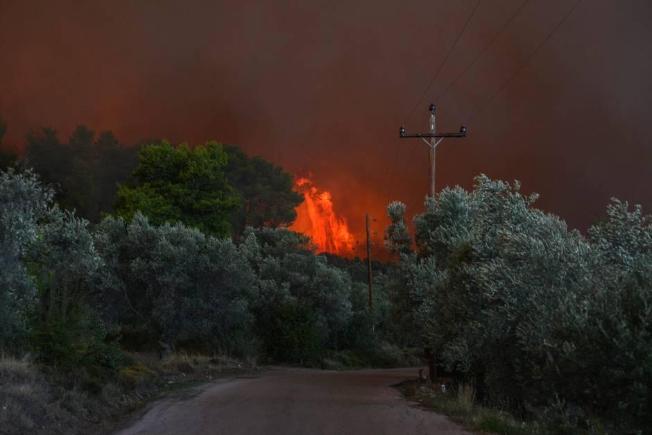 希腊埃维亚岛严峻火情致500人被迫疏散