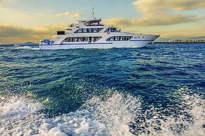 邮轮出发时突遇台风,上不上船?