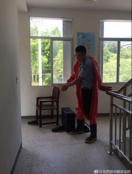 岳西响肠请水寨村议室外现马蜂窝影响选举,贾颖老师初中唐河一图片