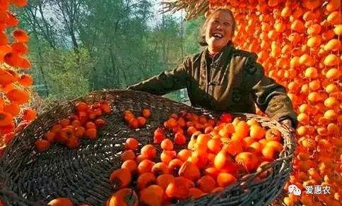 爱惠农|如何避免中国农民丰收节被淡忘?农业农