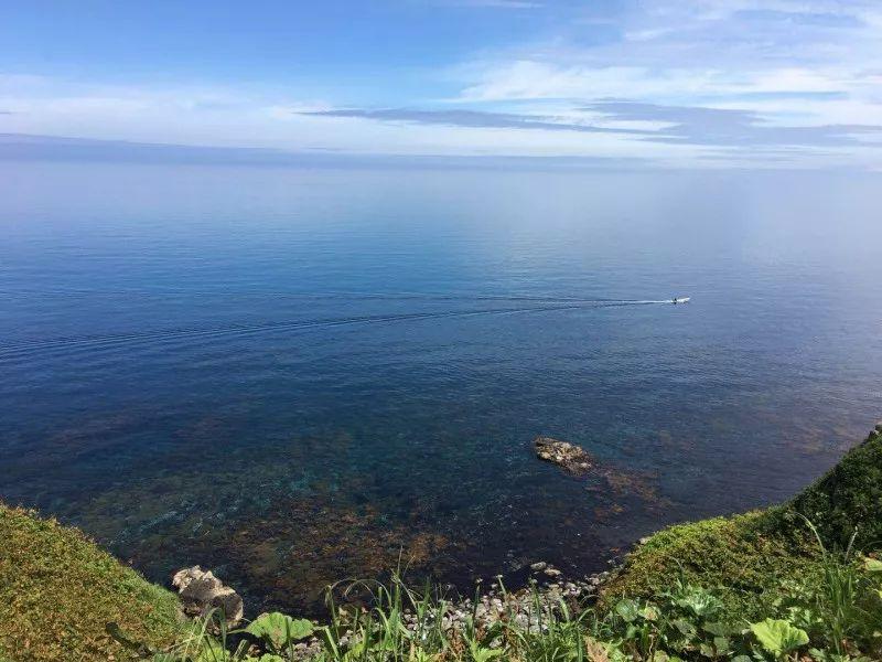 我在北海道，捉住了一条海参！