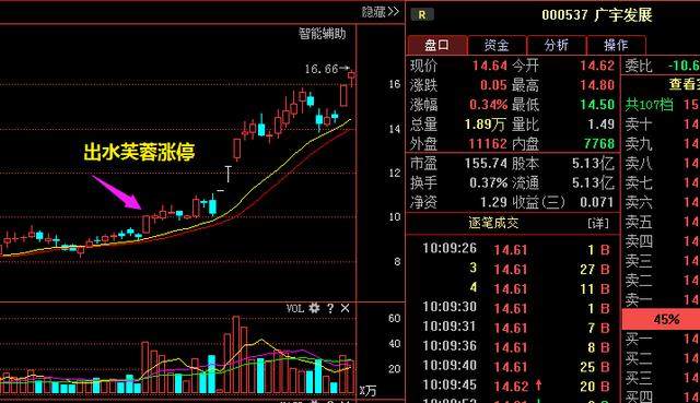 一旦出现“出水芙蓉”形态坚决买入,后市必定几个涨停,绝无例外