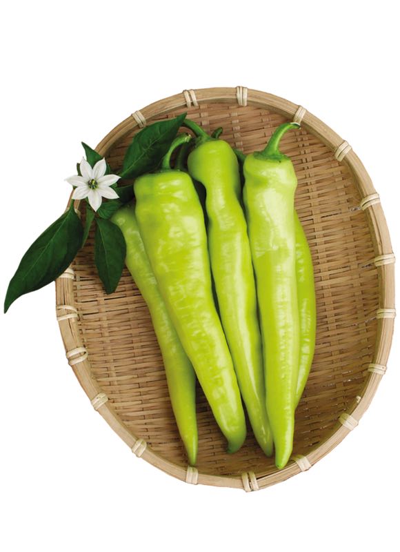 延缓吸收,降低血糖,这样的降糖辣椒,你知道吗?