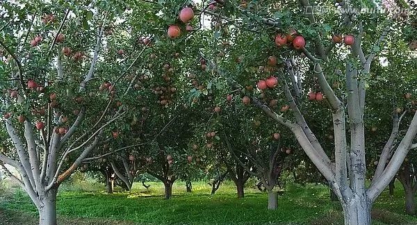 侯家庄:发展乡村旅游 建设美丽家园