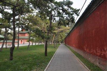 我的读书笔记--《我与地坛》