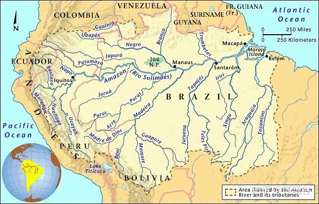 一种是亚马逊河 亚马逊河是河流中的巨无霸 虽然从地图上看 它在长度图片