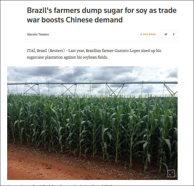 中美贸易战窥得商机，巴西农民纷纷弃糖投豆