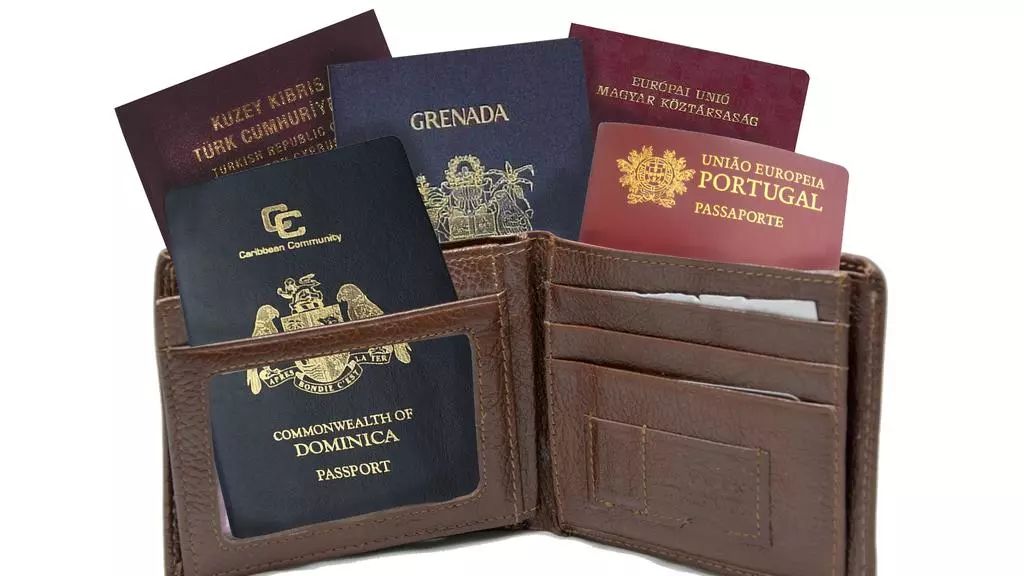 俄罗斯人大批涌入 欧盟要限制这8个国家“卖护照”