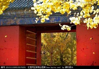 我的读书笔记--《我与地坛》