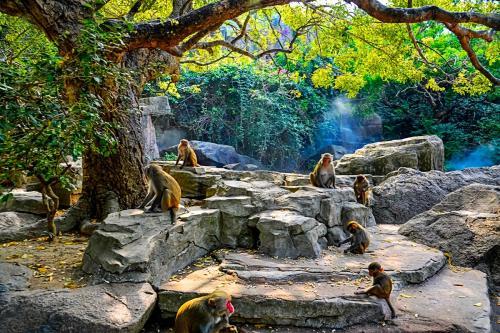 海南的原生态城市