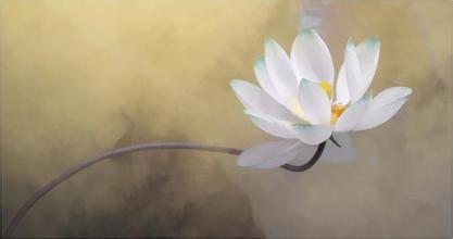 你相信这个世界有因果循环吗