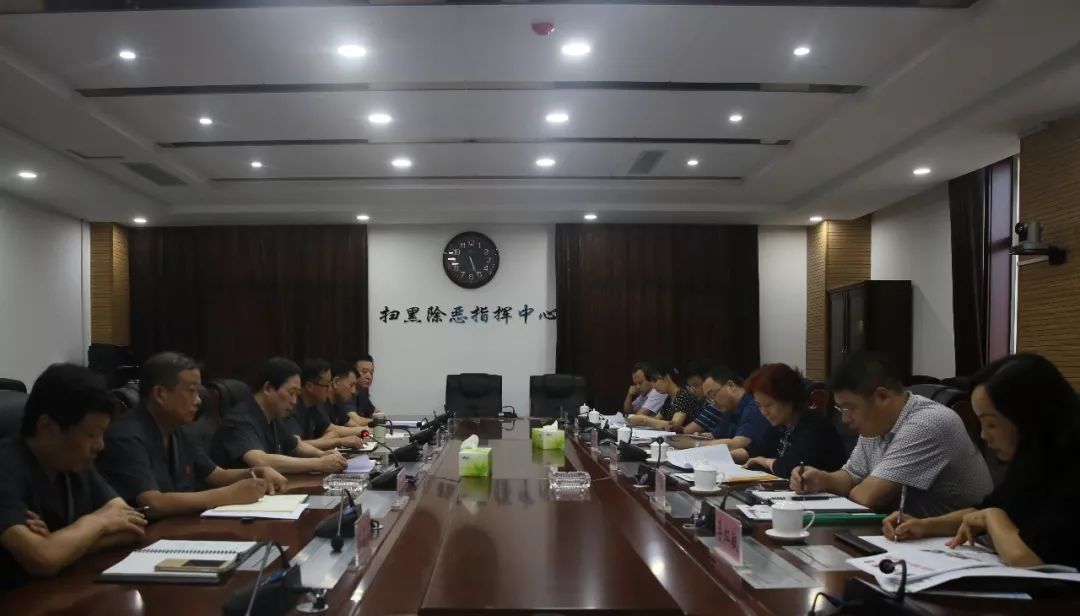 王丽君视察督导裕华法院 扫黑除恶专项斗争和