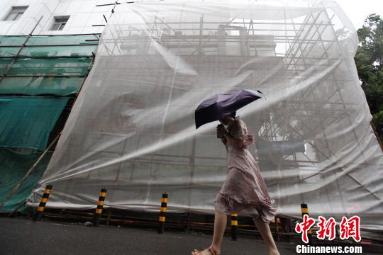 图为民众撑伞在风雨中前行。　孟德龙　摄