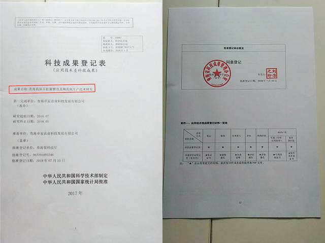 羊肚菌种植是骗局吗?