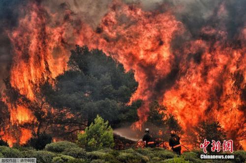 希腊首都雅典附近森林大火。图为消防员试图熄灭正在熊熊燃烧的山火。