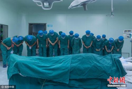 图片来源:视觉中国 图片来源:视觉中国
