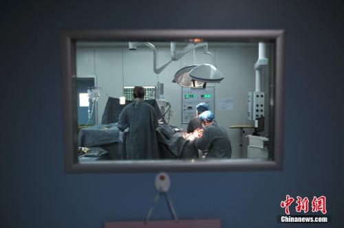 中新社记者 任东 摄 中新社记者 任东 摄