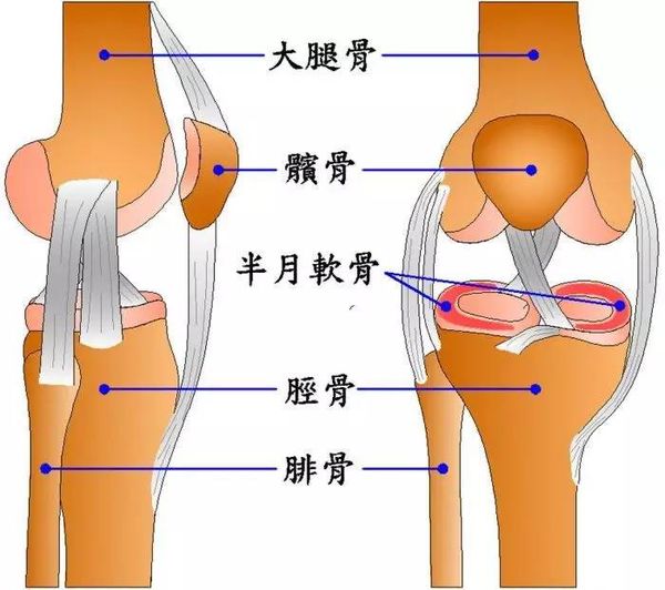 25岁了还很矮骨微裂的方法适宜这年龄增高